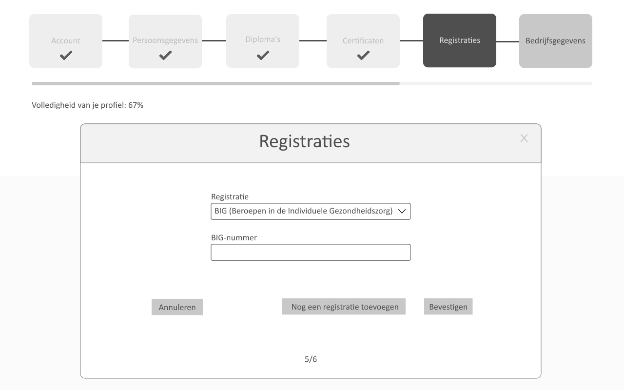 Registraties-BIG